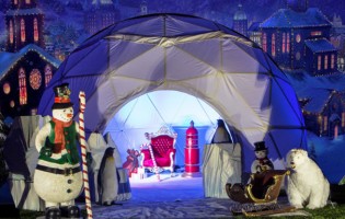 Geodesic Dome - winter wonderland